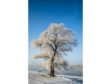 -20 °C külső hőmérsékletig fűtős klímák. -20 °C külső hőmérsékletig fűtős klímák.