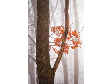 -6 °C külső hőmérsékletig fűtős klímák -6 °C külső hőmérsékletig fűtős klímák