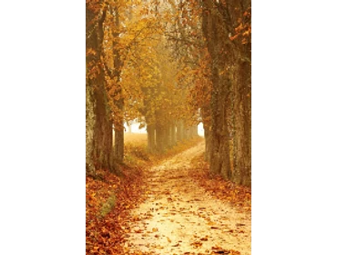 +5 °C külső hőmérsékletig fűtős klímák. +5 °C külső hőmérsékletig fűtős klímák.